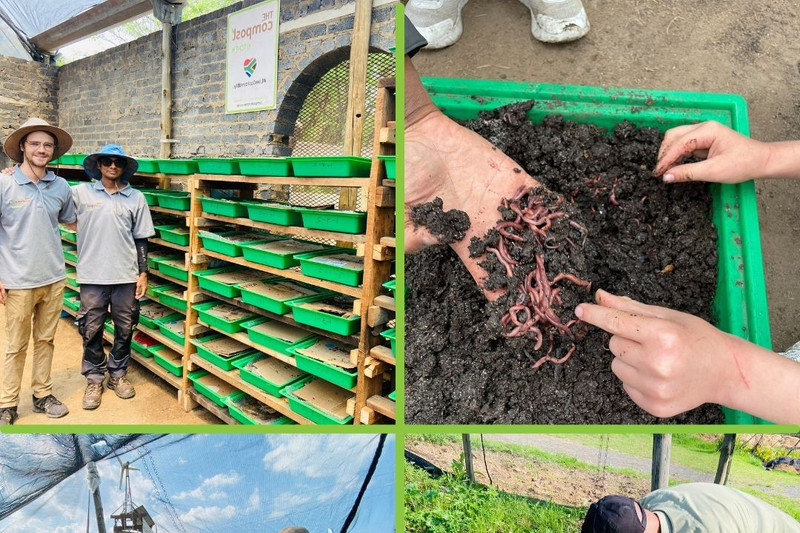 The Compost Kitchen — food waste turned into rich vermicompost